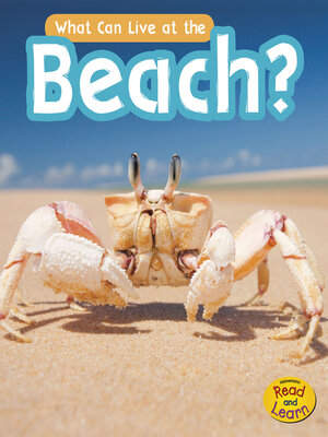 cover image of What Can Live at the Beach?